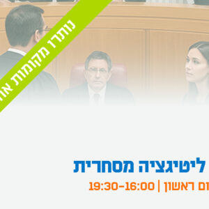 סדנת ליטיגציה מסחרית - כלים עיוניים ומעשיים לעורכי דין צעירים