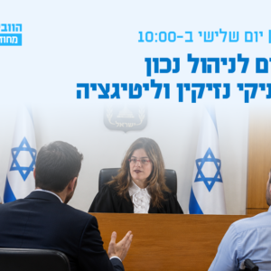 וובינר - דגשים לניהול נכון של תיקי נזיקין וליטיגציה